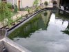 PICT0018.JPG
