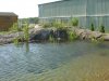 JHEMPIS TEICH 005.jpg