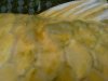 DSC00230_800x600.JPG