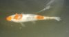 CIMG4241.JPG