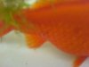 DSC01543.JPG