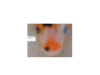 Projekt3.png