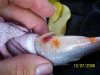 100_0063_(640_x_480).jpg