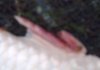 HPIM2770.JPG