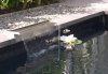 wasserfall_777.jpg
