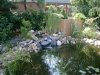 IMGP4042.JPG
