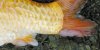 DSCN5564.jpg