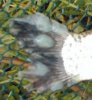 DSCN5567.jpg