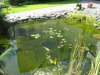 IMG_7595.JPG