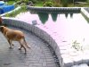 IMAGE_00235.jpg