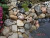 Dsc00133.jpg