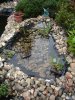 Dsc00134.jpg