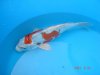 Dsc00115.jpg
