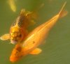 DSC00317.JPG
