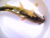 IMAGE_00326.jpg