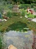 teich 044.JPG