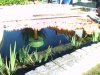 IMAGE_00339.jpg