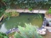 Teich voll.jpg