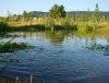 Lehmteich web.jpg