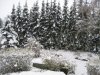 IMG_0419.jpg