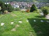 Garten 006neu.jpg