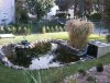 teich-herbst.jpg