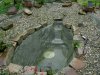 teich 003.JPG