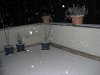 CIMG0409.JPG