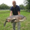marmorkarpfen25,19.jpg