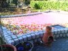 IMAGE_00389.jpg