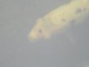 Dsc01862.jpg