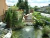 DSCF0005.JPG