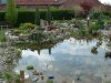 Teich 043.JPG