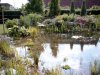 Bild4162.JPG