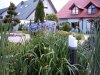 Bild4132.JPG
