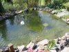 Gartenteich2.jpg