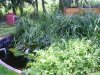 hgg01_1024x768.jpg