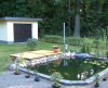 2009-07-14x.JPG