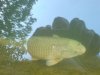 DSC03745.JPG
