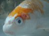DSC04820.jpg