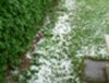 Hagel1.jpg