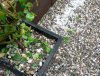 Hagel3.jpg