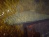 DSC03753.JPG