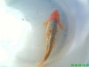 DSC0088511.jpg