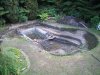 IMG_128312.jpg
