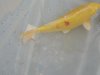STA60451.JPG