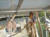 DSC03559.JPG