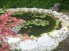 teich.jpg