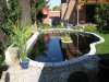 teich 002.jpg