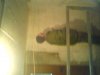 DSC00151.JPG